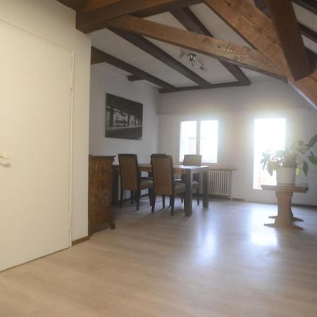 Appartements Am Bodensee Naehe Konstanz Ermatingen Exterior photo